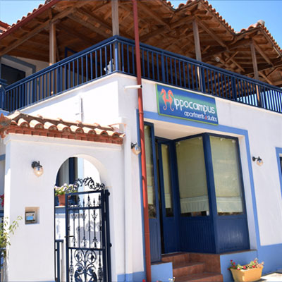 Hippocampus Studios & Apartments