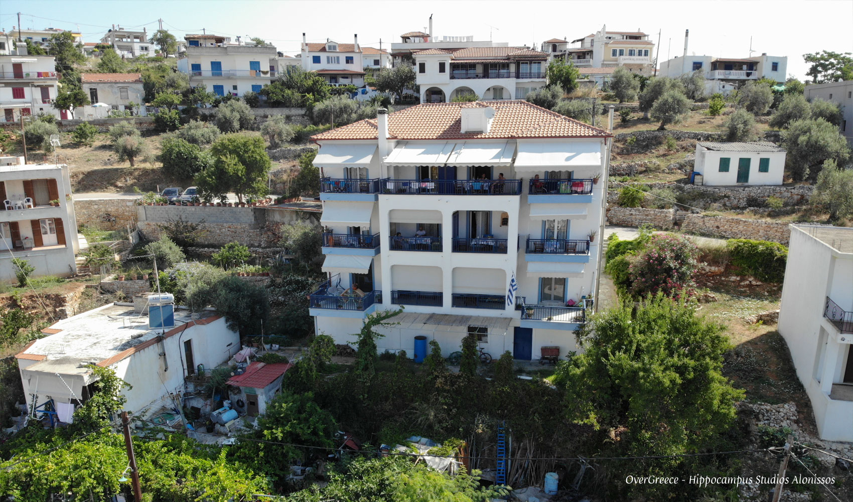 Hippocampus Studios Alonissos